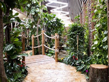 Papilonia - motýlí dům Brno