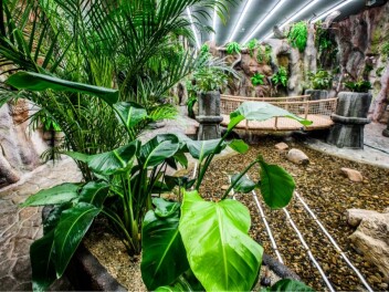 Papilonia - motýlí dům Praha