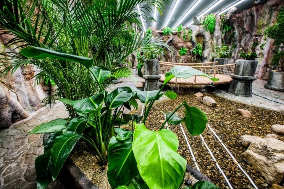 Papilonia - motýlí dům Praha