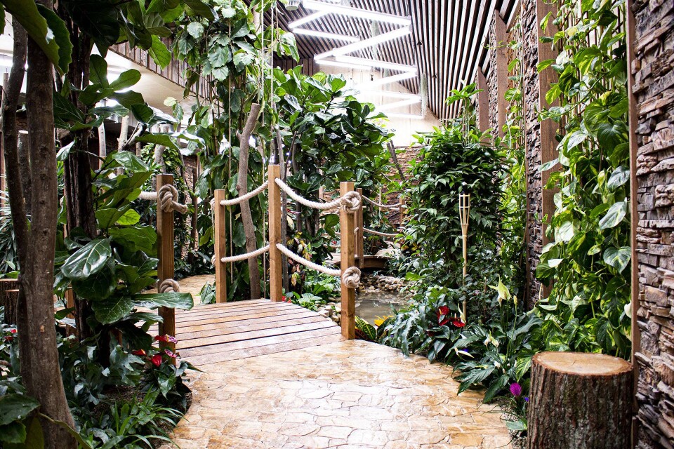 Papilonia - motýlí dům Brno