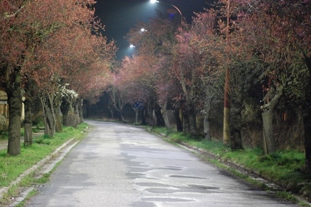 öffentliche Beleuchtung Miloslavov (SK)