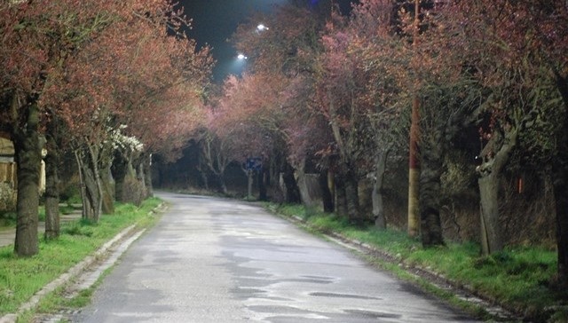 Public Lighting Miloslavov (SK)